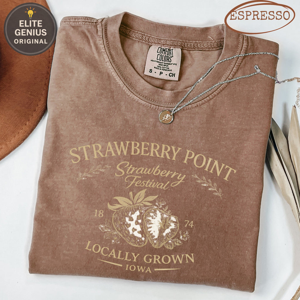 Brown t-shirt with "Strawberry Point Strawberry Festival" and two strawberries.