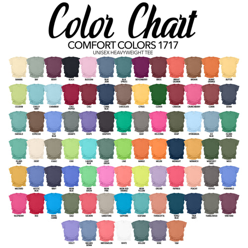 Comfort Colors 1717 unisex heavyweight tee color chart with swatches and names.