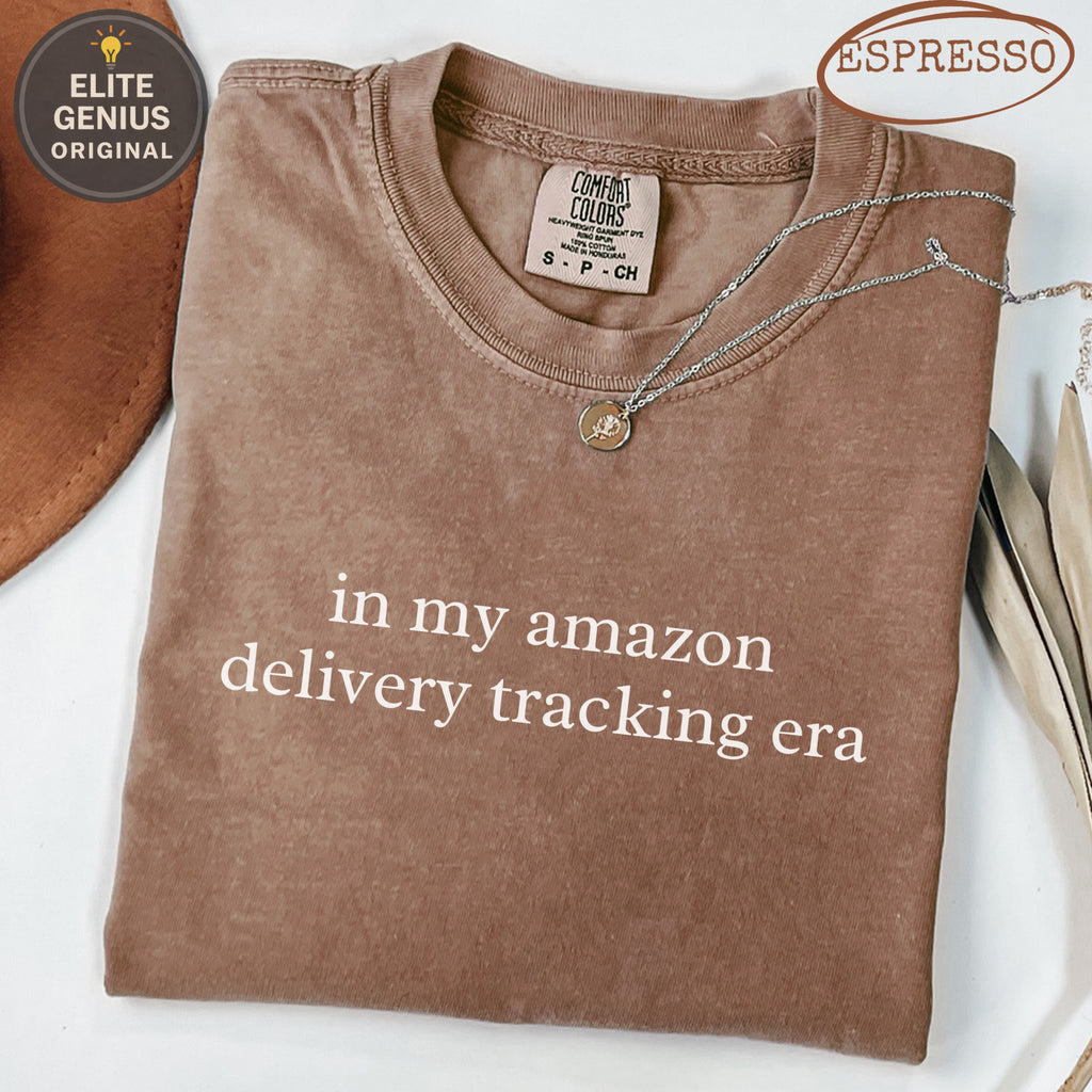 Brown Comfort Colors t-shirt with "in my amazon delivery tracking era" text.